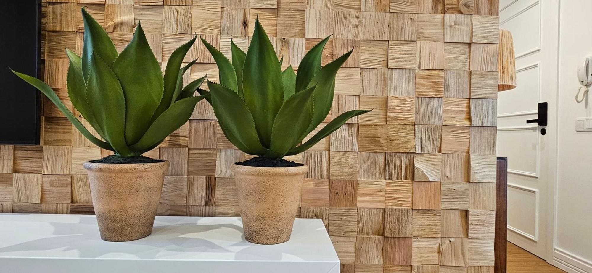 Casa "Avo Chupeta" - Nazare - Alojamento Local Екстериор снимка
